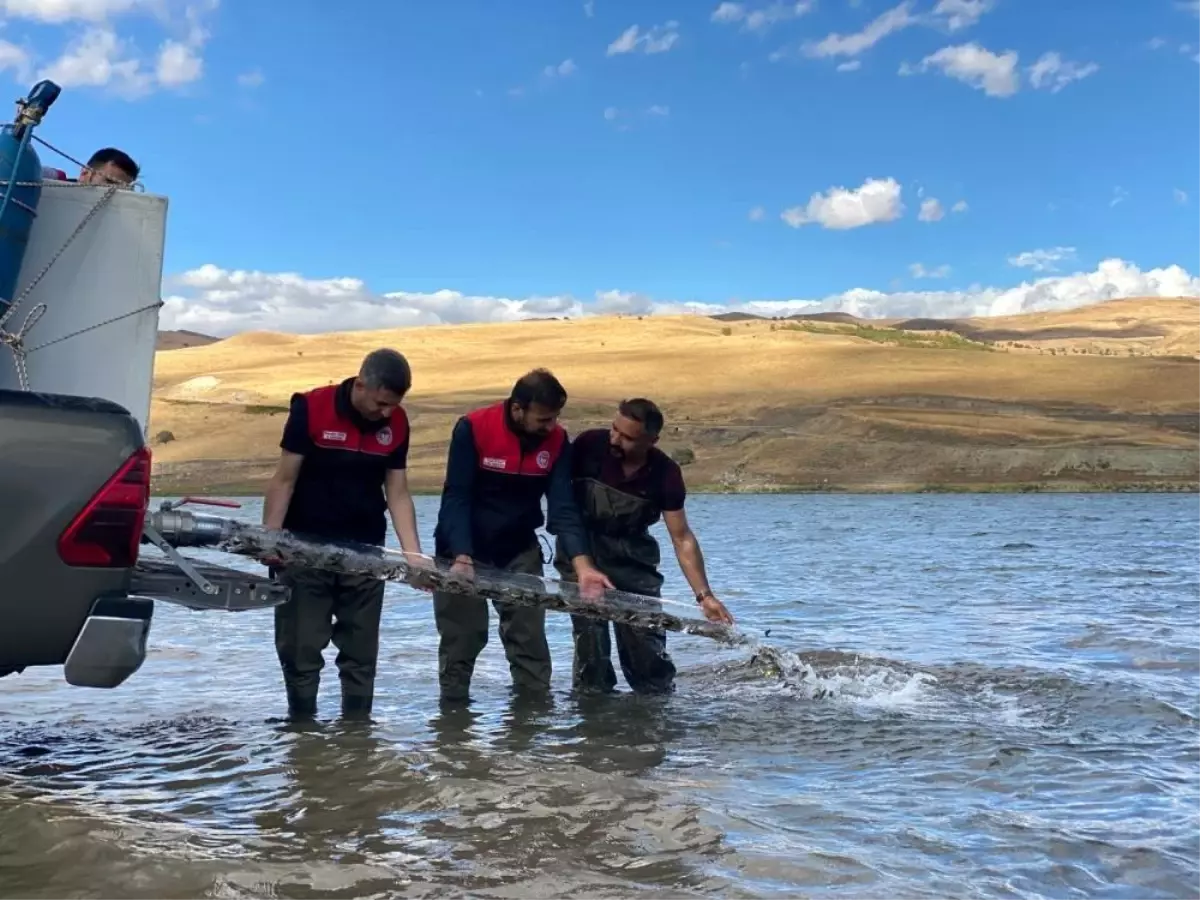 2025’te 83 Milyon Balık Deniz ve Göllere Bırakılacak