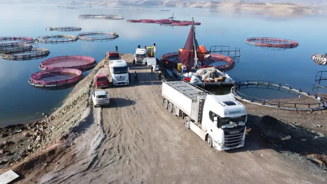 İhracat yapılan Rusya ve Japonya konteynerleri