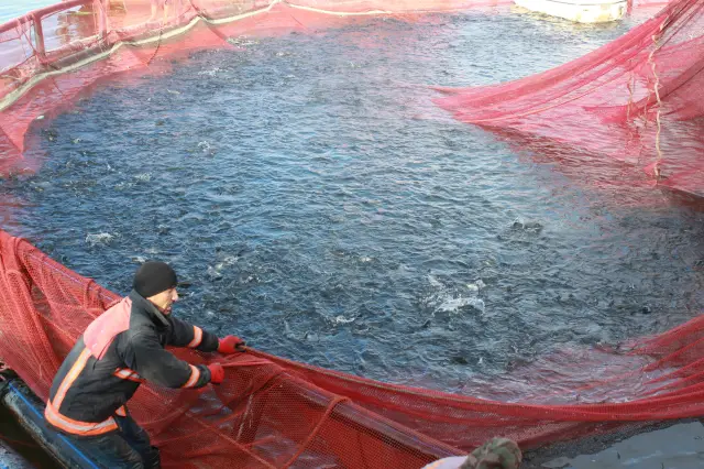 Sürdürülebilir su yönetimi sistemi