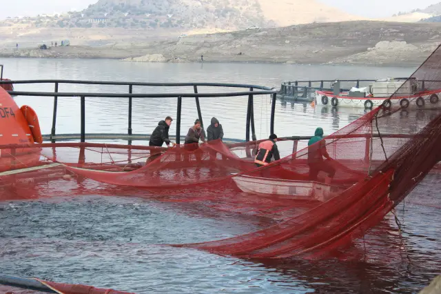 Çekerek balık çiftliği panoraması