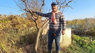 Manisa Sarıgöl'de Kışın da Tarım Devam Ediyor