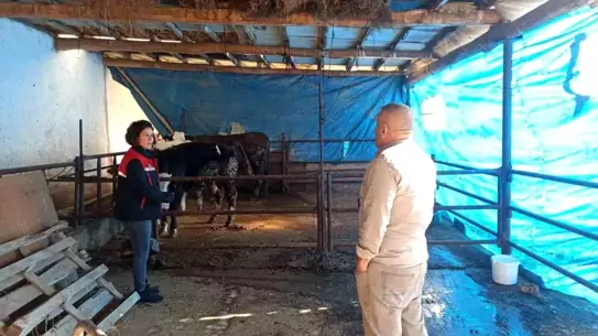 Afyonkarahisar’da ÇMVA Denetimleri Devam Ediyor