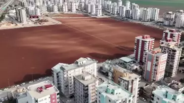 Organik patates tarlası