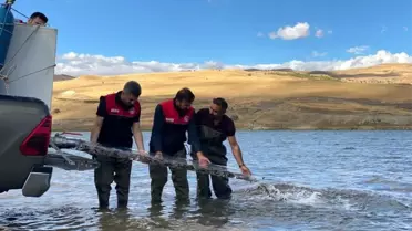 2025’te 83 Milyon Balık Deniz ve Göllere Bırakılacak