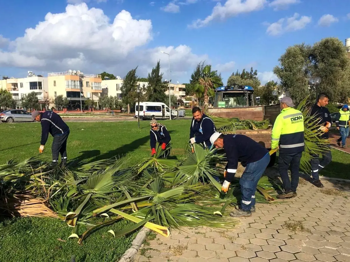 Didim Belediyesi Yeşil Alanlarda Bakım ve Yenileme Çalışmalarını Hızlandırıyor