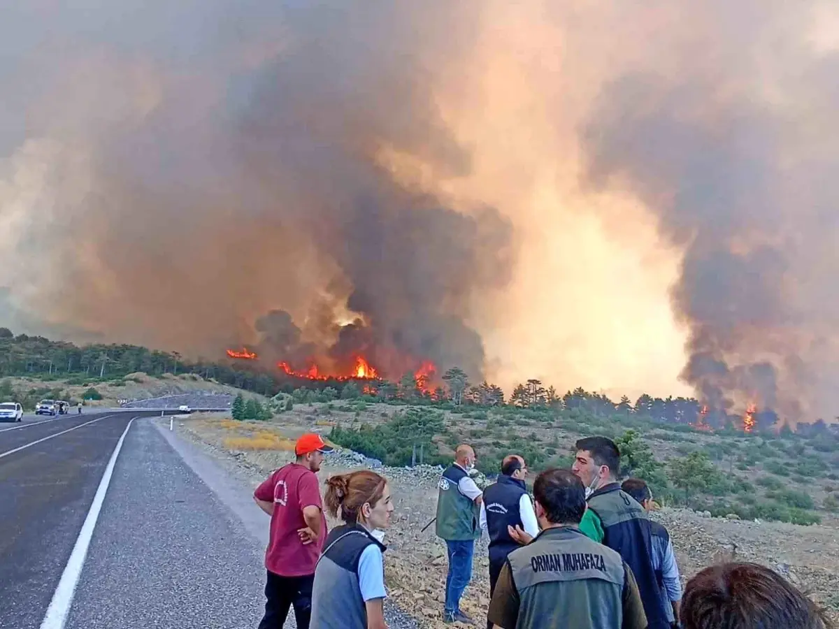 Bursa’da Orman Yangını Çıkaran Astsubay İçin 15 Yıl Hapis Talebi