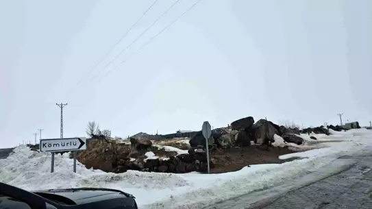Kömürlü köyünde karantinada tutulan hayvanlar
