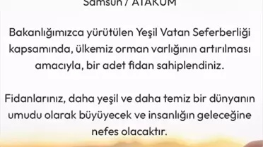 Dağıtılan fidanların yakından görüntüsü