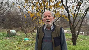 Bursa’da arı kolonileri ve pestisit etkisi