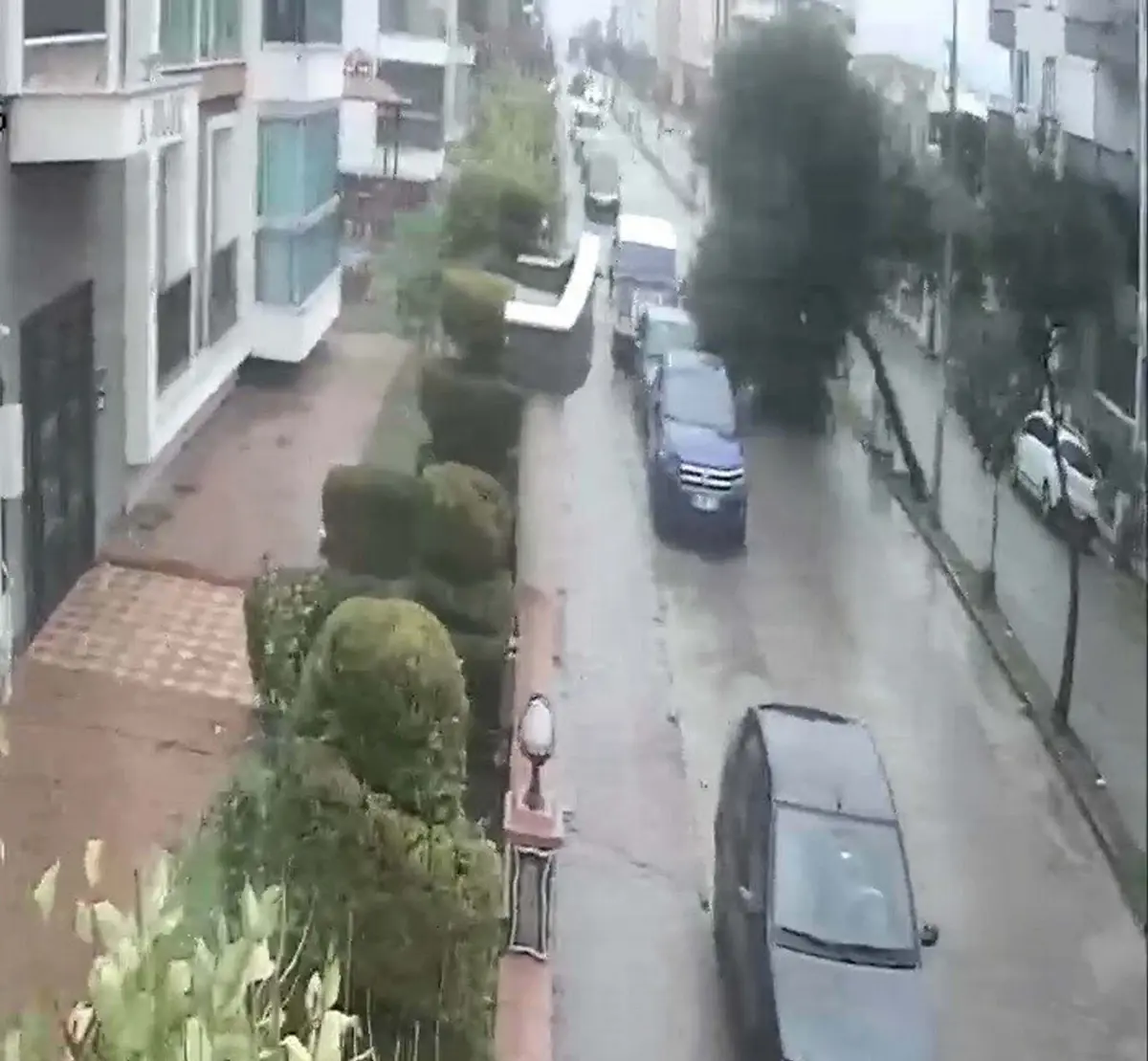 Nazilli’de Şiddetli Fırtına Yol Açtı: Devrilen Ağaç Trafiği Durdurdu