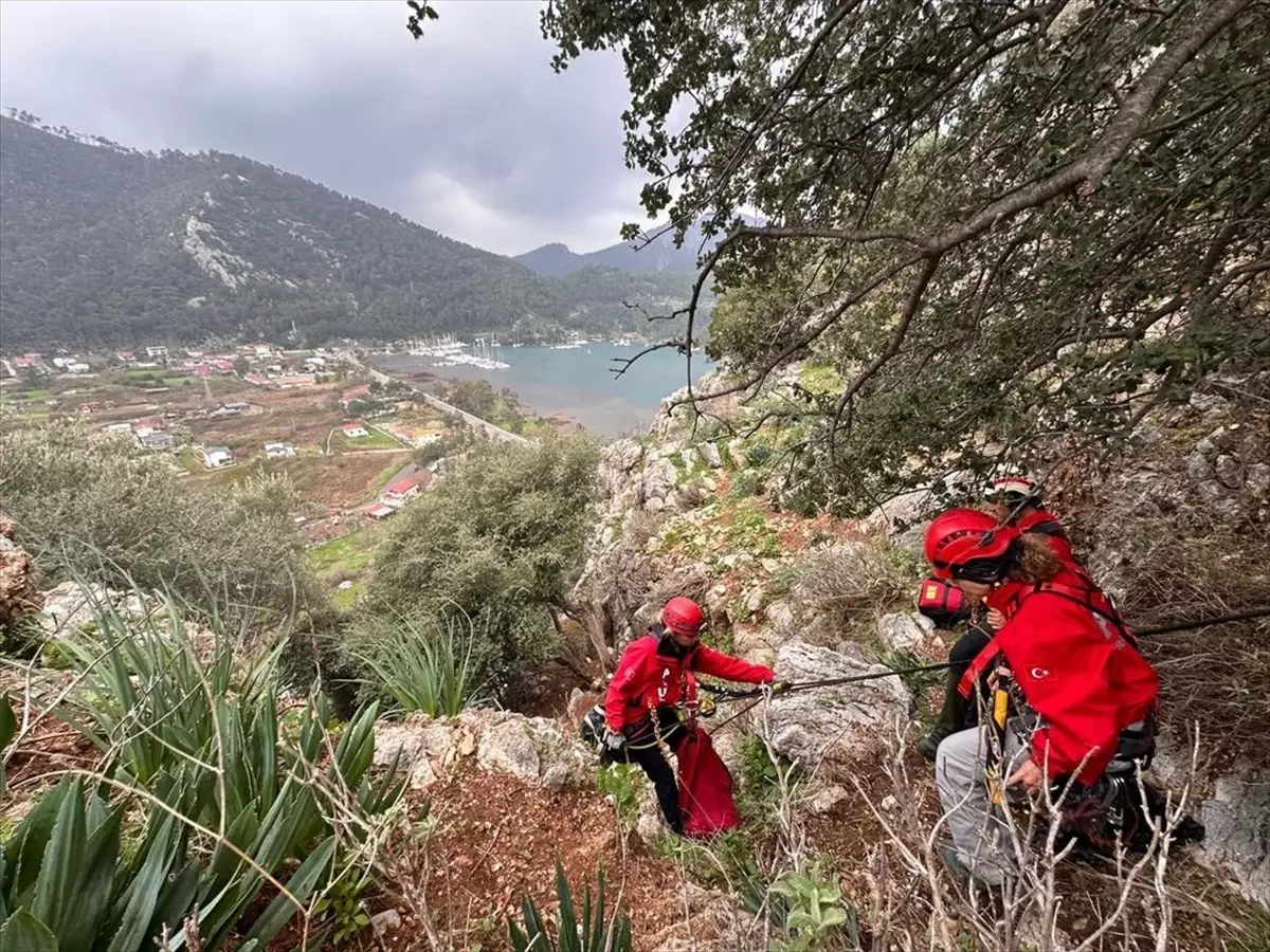 Marmaris Kayalıklarında Mahsur Kalan Köpek, Keçi ve Oğlak AKUT Tarafından Kurtarıldı