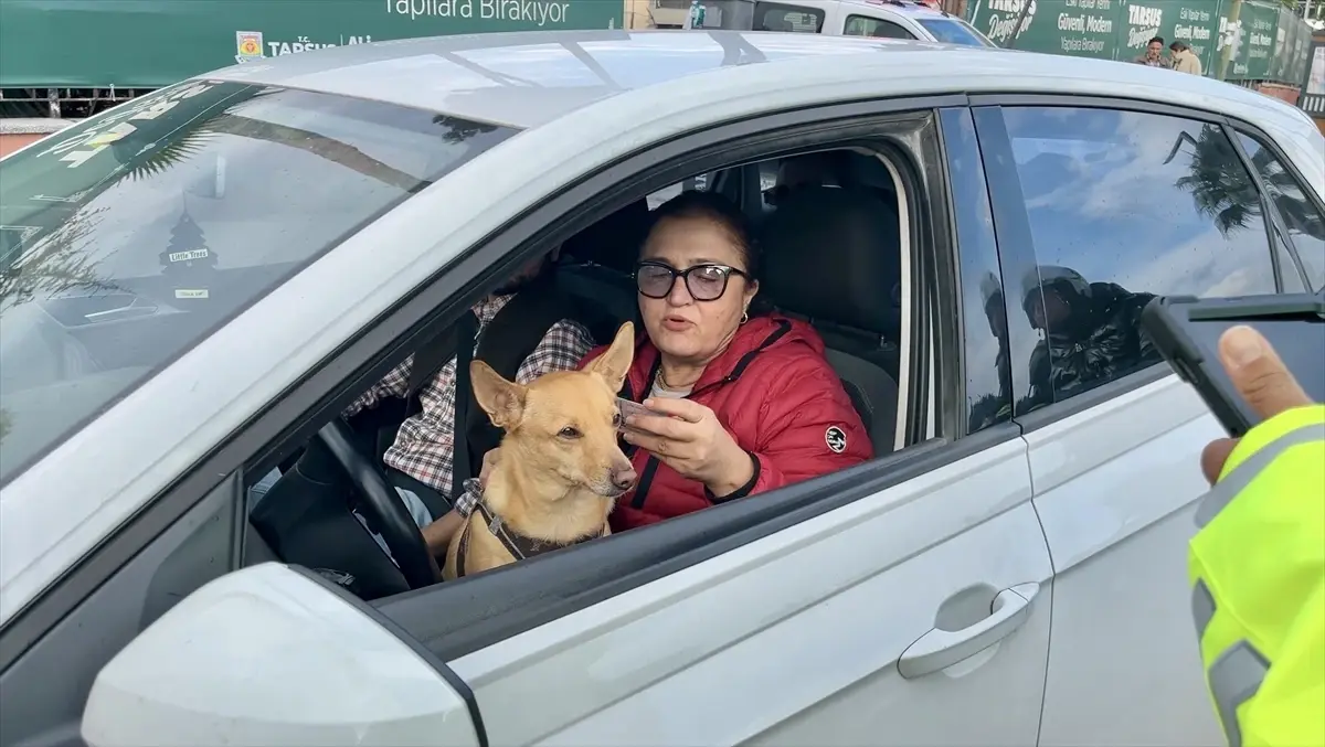Tarsus’ta Kucağındaki Köpekle Araç Kullanan Sürücüye Uyarı Geldi