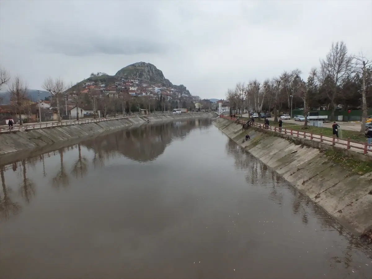 Tokat Turhal’da Yeşilırmak Nehrinde Geniş Ölüm Dalgası: Balıklar Kıyıya Vurdu