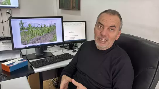 Don sonrası zarar görmüş meyve ağaçları