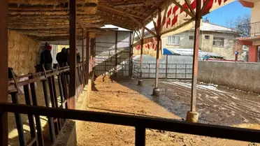 Elektrik kaçağının bulunduğu hat