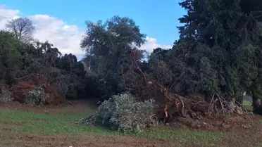 Hortumun şiddetli yapısını gösteren fotoğraf