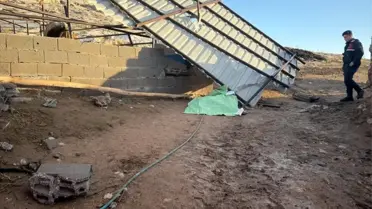 Rüzgarda devrilen ahır çatısı