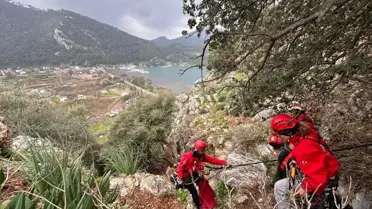 AKUT ekibi hayvanları kurtarıyor