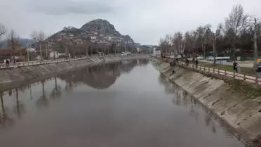 Yeşilırmak Nehri’nde ölen balıklar