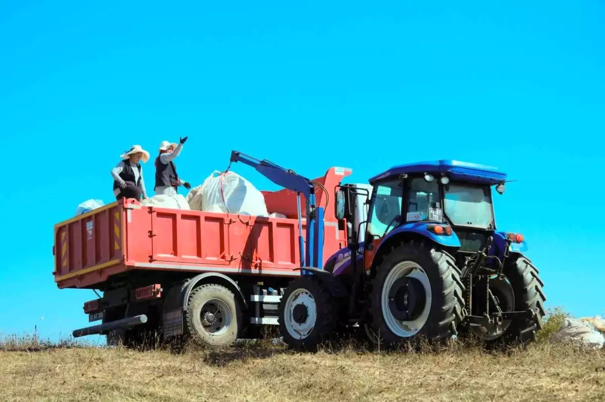 2025'te Kocaeli Çiftçilerine 166 Milyon TL Tarım Desteği: Toprak ve Hayvanlar Yeniden Canlandı