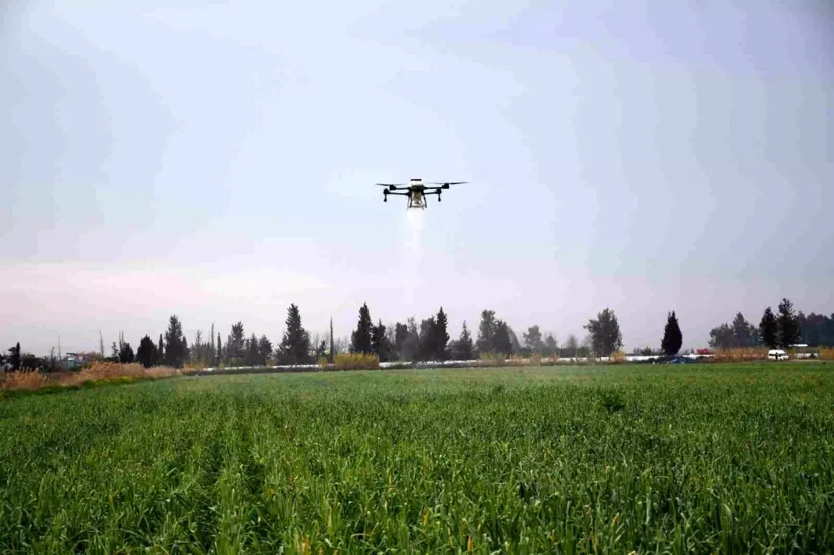 Mersin’de Dronla Gübreleme: Çiftçilerin Maliyetlerini Düşüren Tarım Devrimi