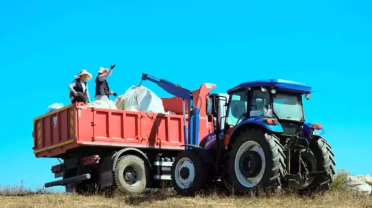 Kocaeli'de yeni sera yapımı