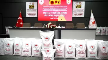 Ayçiçeği tohumu paketleri
