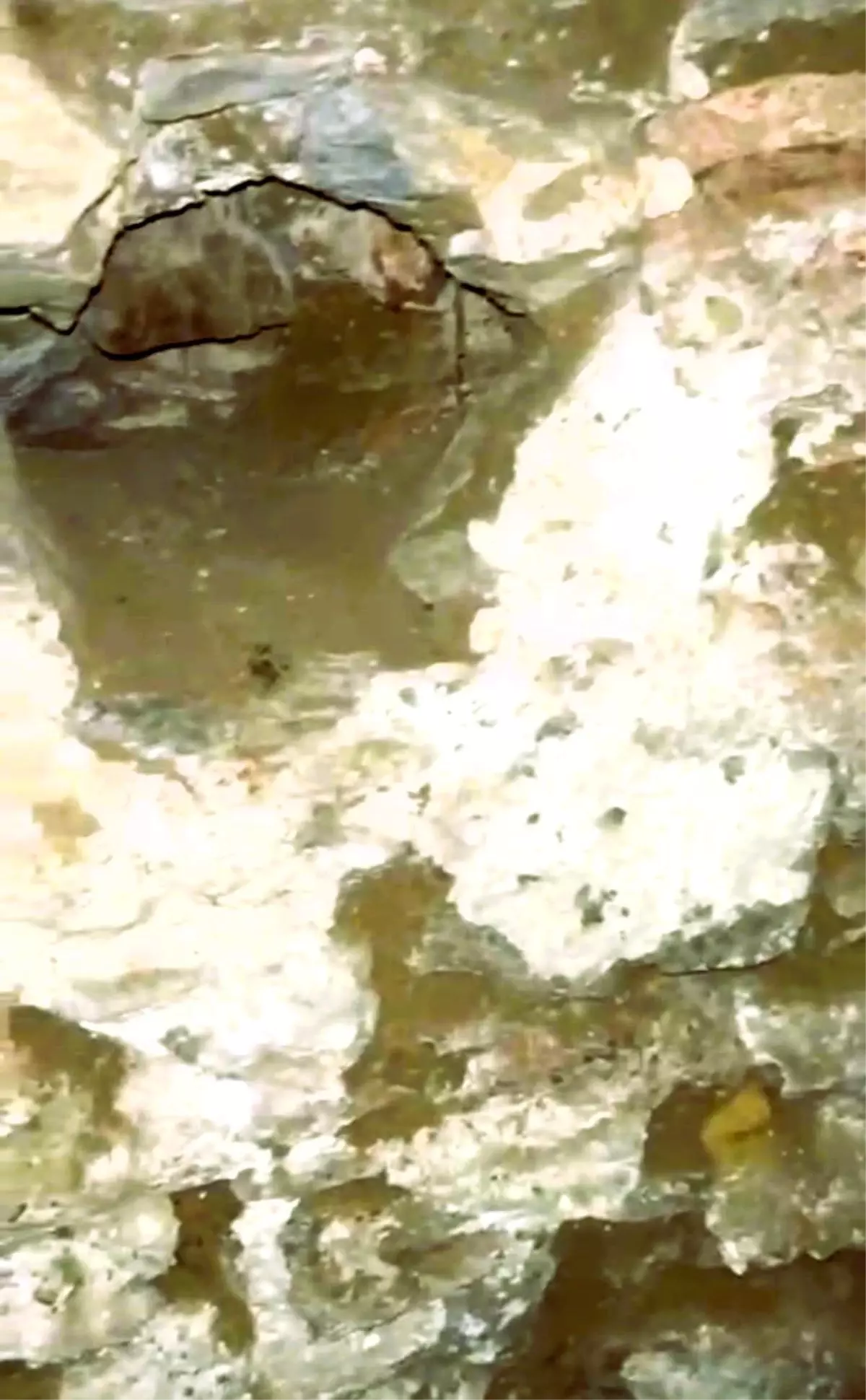 Denizli Buldan’da 300 Yıllık Tarihi Hamamda Kaçak Kazı Tespit Edildi