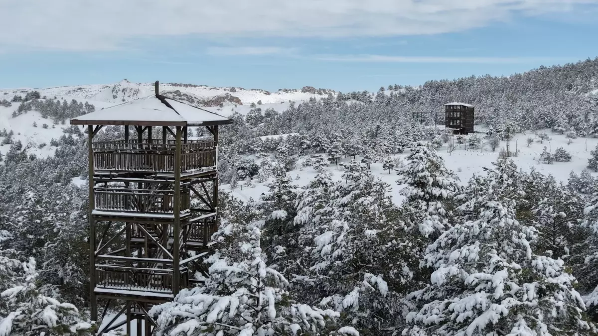 Sivas Kardeşler Ormanı Kışın Beyaz Bir Cennete Dönüştü