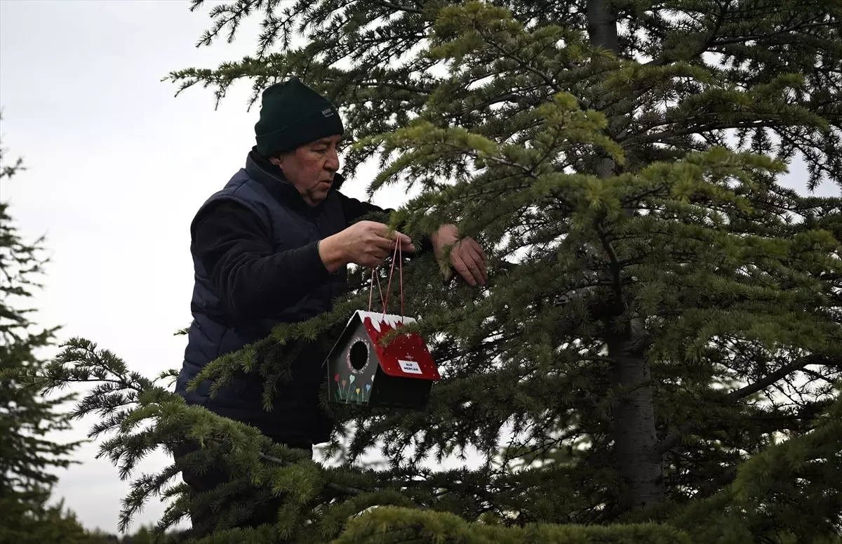 Bolu Yangını Anısına 78 Kuş Evi '78 Can Hatıra Ormanı'na Asıldı