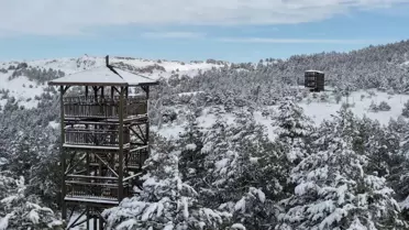 Kardeşler Ormanı karla kaplı geniş alanı
