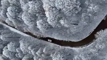 Kocaeli şehir kamerası ana görseli - doğal güzellikler