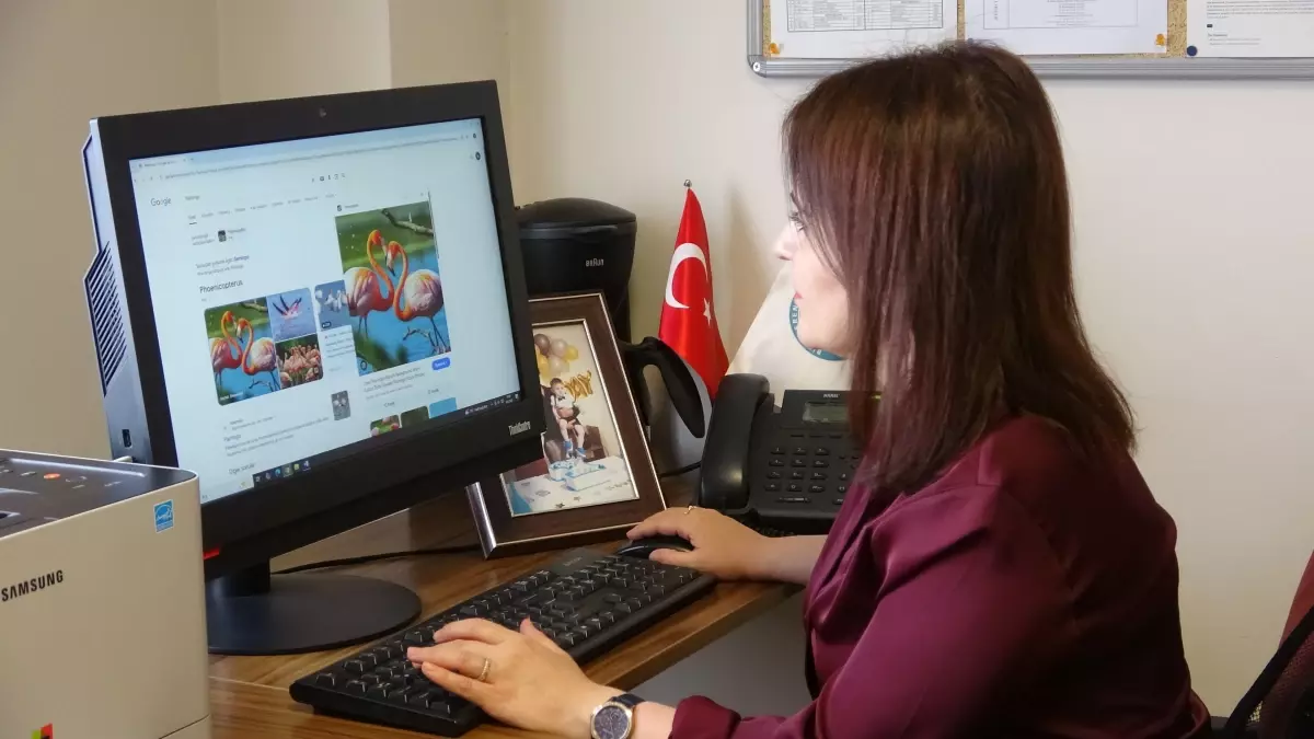 Van Gölü'nde Soğuk Havaya Rağmen Flamingoların Sürpriz Göçü