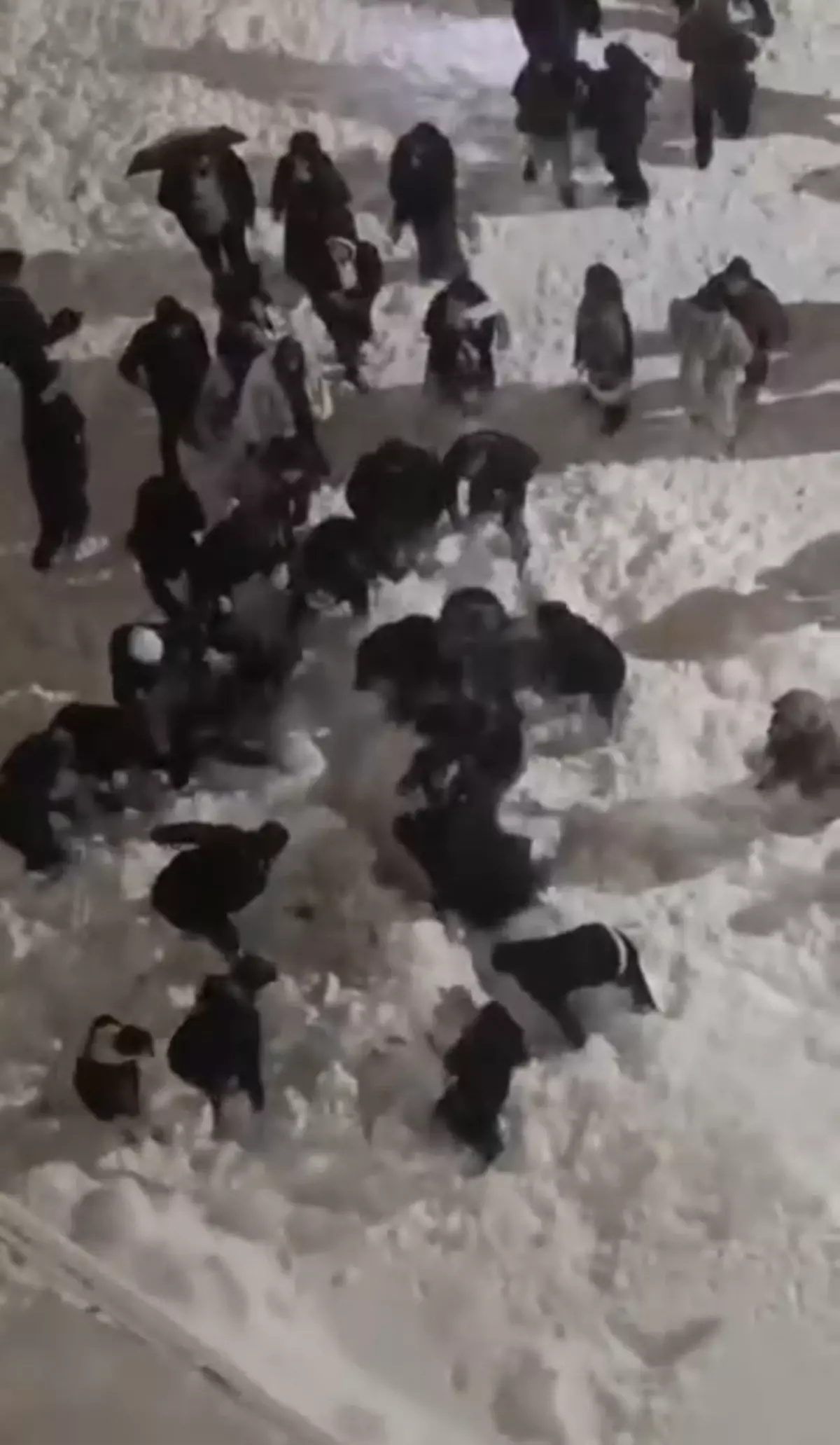 Hakkari'de Çatıdan Düşen Kar Kütlesi 2 Üniversite Öğrencisini Yaraladı