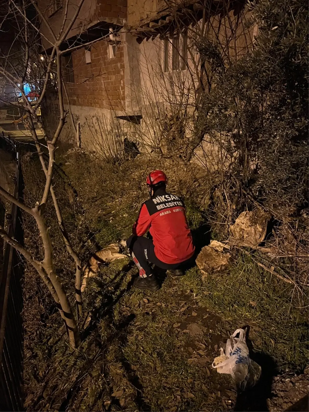 Niksar’da Korkuluklara Sıkışan Köpek İtfaiye Ekipleri Tarafından Kurtarıldı