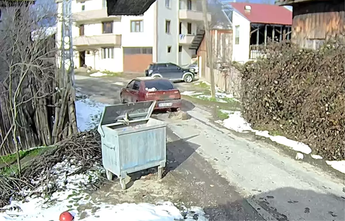 Bolu’da Yolda Yatan Köpeğe Araç Çarptı: Hayatta Kalma Mücadelesi