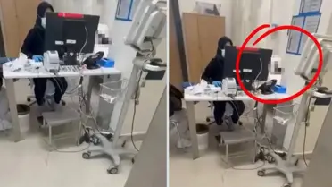 Sedye üzerindeki kedi