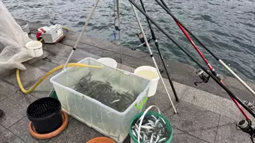 İstanbul Boğazı'nda yağmurlu gün balıkçılar