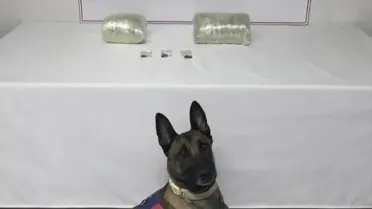 Operasyon sahasından görüntü