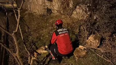 İtfaiye ekipleri köpeği kurtarıyor