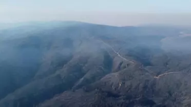 Orman yangınları önleme çalışması ana görseli