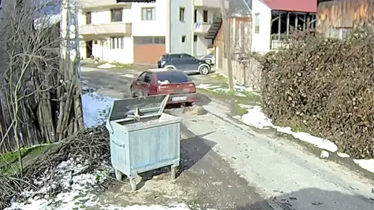 Çarpılan köpeğin fotoğrafı