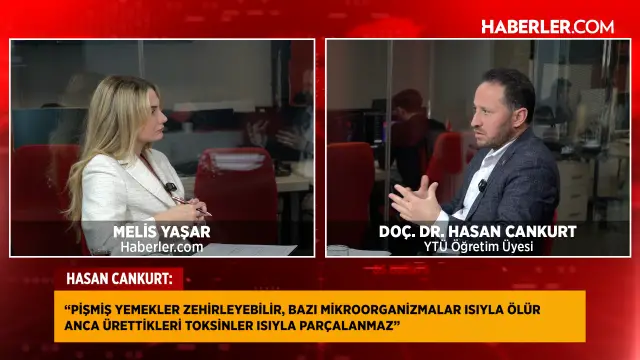 Mikroorganizmaların gıdalara etkisi