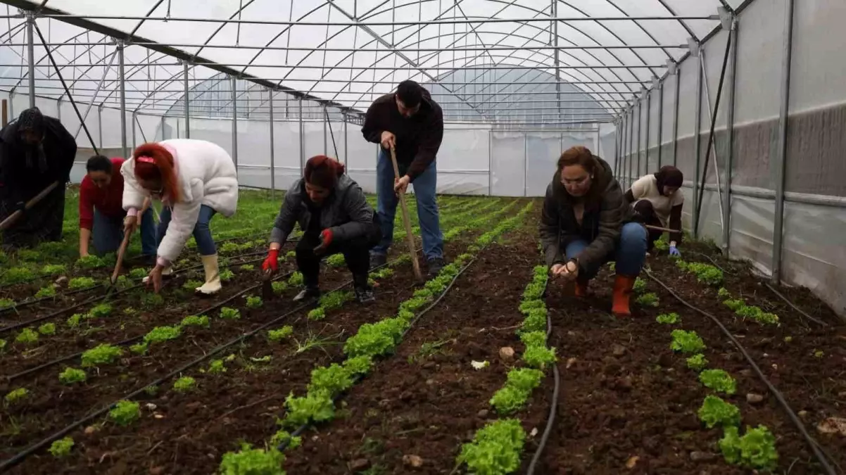 Kocaeli Tarım Akademisi'nden 16-55 Yaş Arası Aday Çiftçilere Modern Tarım Eğitimi