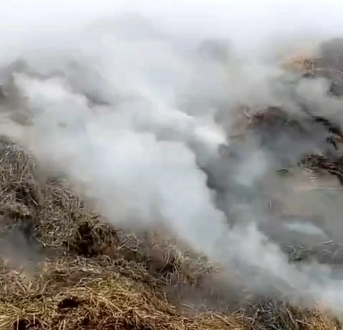 Adana’nın Karaisalı İlçesinde Samanlık Yangını Hızla Söndürüldü