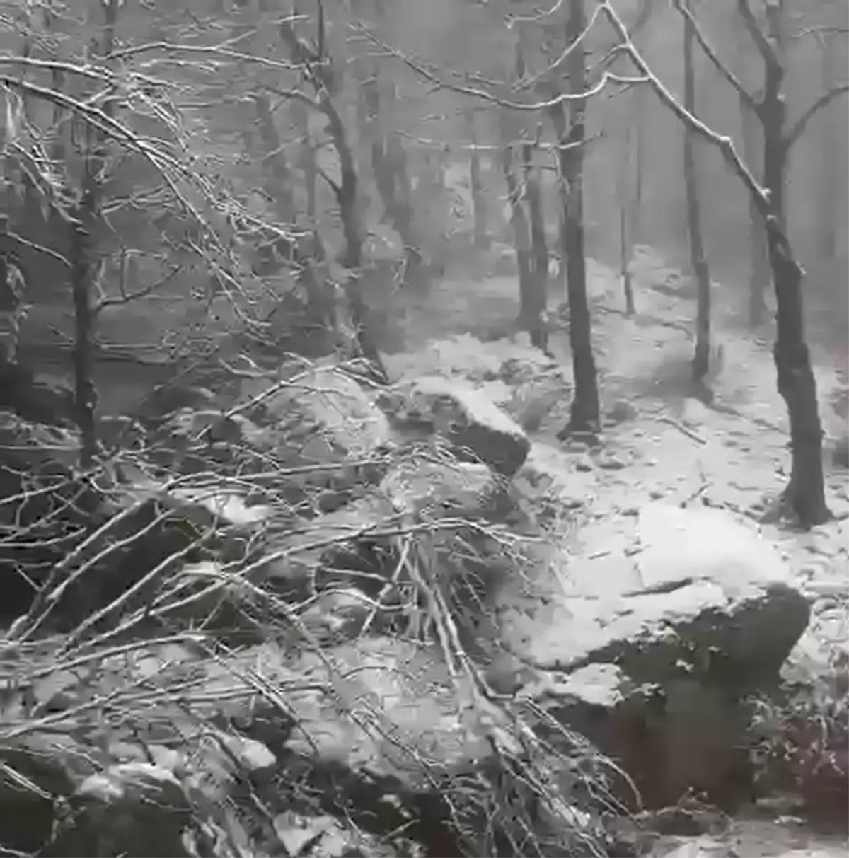 Erdek'te Kar Yağışı Yoğunlaşmaya Başladı: Kapıdağ Yarımadası'nda Sürücüler Uyarıldı