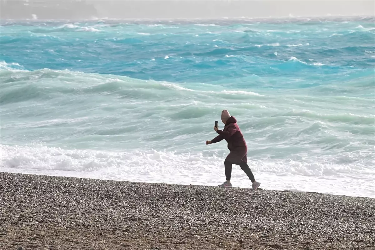 Serik'te Şiddetli Fırtına Çam Ağacını Devrerek Yol ve Duvarı Zarar Verdi