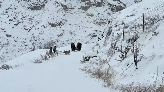 Kar yağışıyla kaplı Adıyaman sokakları