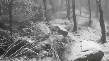 Kapıdağ Yarımadası'nda yoğun kar