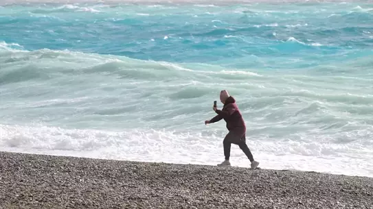 Fırtına etkisiyle devrilen çam ağacı ve zarar gören istinat duvarı